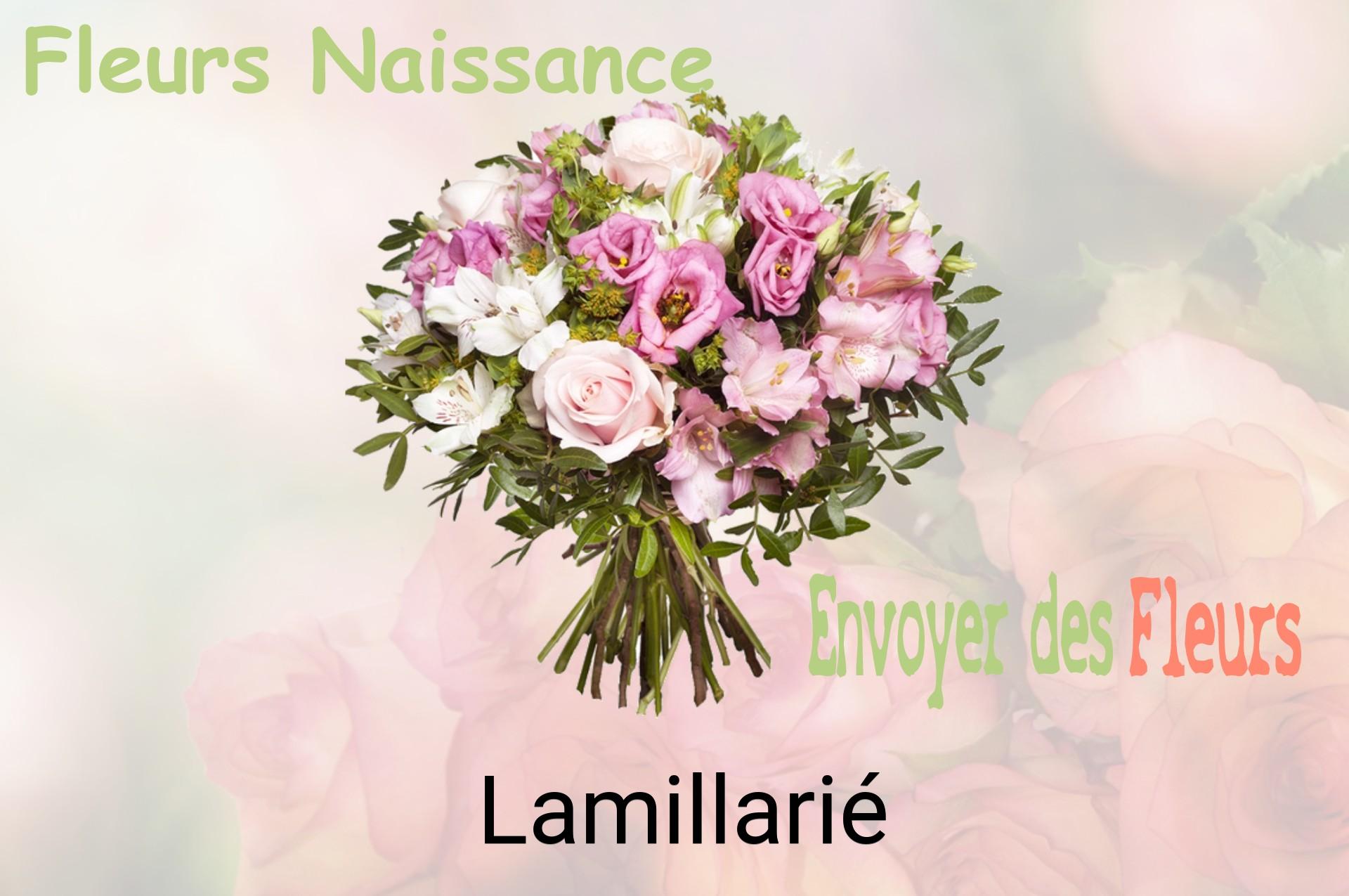 Bouquet de fleurs de naissance livré à Lamillarié